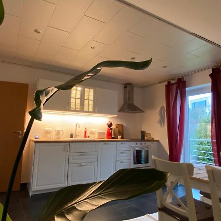 Moderne Ferienwohnung Seeblick Freudenberg  Dış mekan fotoğraf