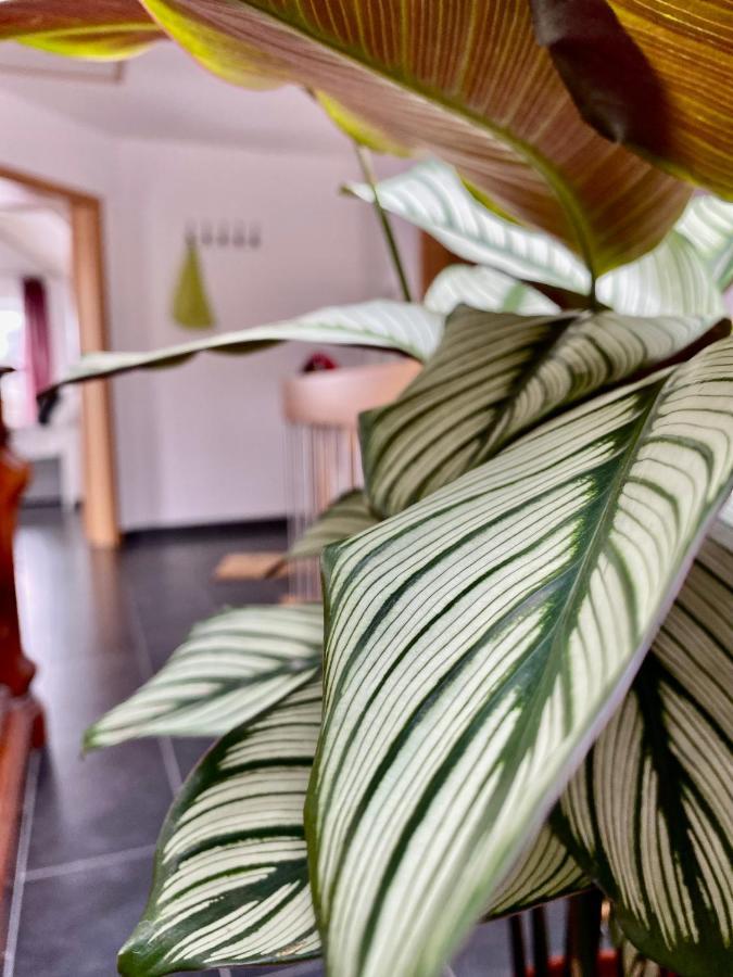 Moderne Ferienwohnung Seeblick Freudenberg  Dış mekan fotoğraf